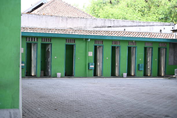 Best Sanitation services for porta potties  in University Place, WA